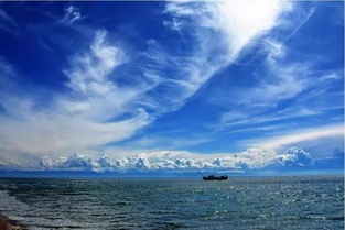 關(guān)于勇敢逐夢(mèng)的詩(shī)句