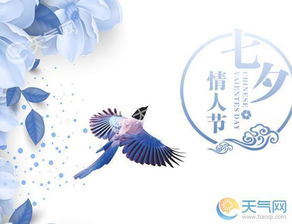 七夕的詩(shī)句古詩(shī)小學(xué)