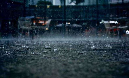 關(guān)于猛烈的雨的詩(shī)句