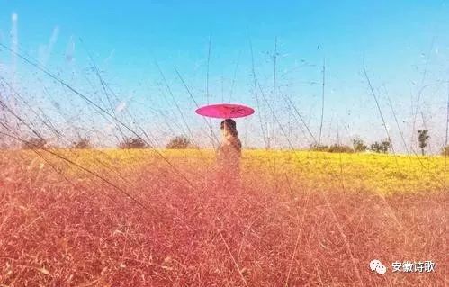 古詩(shī)詞,詩(shī)句,秋天,愛(ài)情