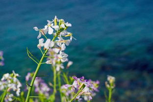 哪些古詩(shī)中有珍惜時(shí)間的詩(shī)句