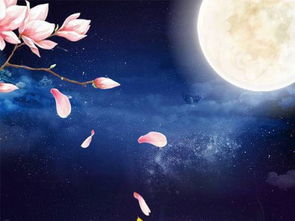 關(guān)于中秋節的七字詩(shī)句