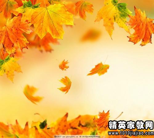 寫(xiě)秋天景色的古詩(shī)句有哪些