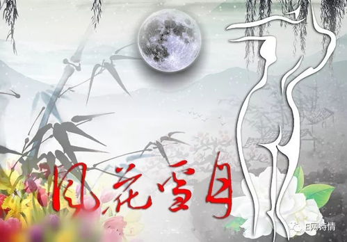 古詩(shī)中的風(fēng)花雪月詩(shī)句加注釋評點(diǎn)