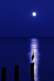 中秋節的情人離別詩(shī)句古詩(shī)