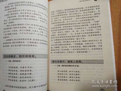 詩(shī)句,文中,高中生