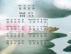 春夜喜雨古詩(shī)詩(shī)句的意思