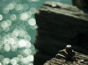 關(guān)于好友緣分的詩(shī)句