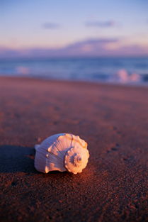 關(guān)于沿途的風(fēng)景詩(shī)句