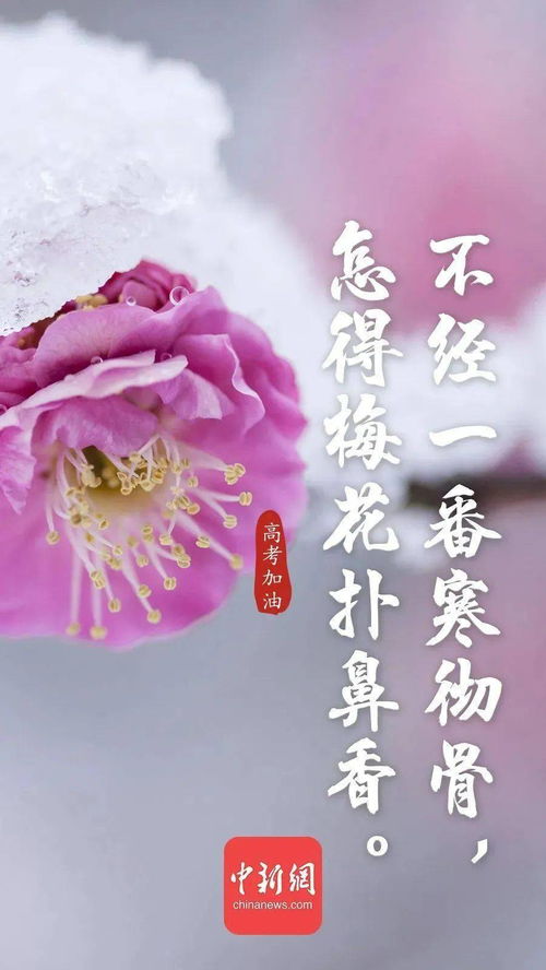 詩(shī)句,結婚,朋友