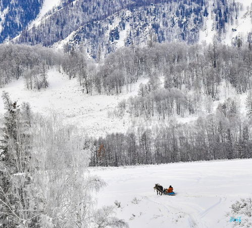 含有春歸的詩(shī)句古詩(shī)