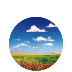 早上問(wèn)候的古詩(shī)句,問(wèn)候早上好的古詩(shī)句,問(wèn)候早安的古詩(shī)句