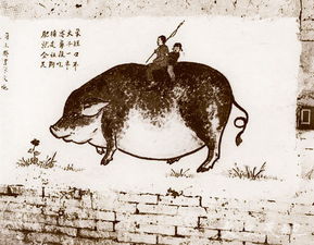 關(guān)于完美大象的詩(shī)句