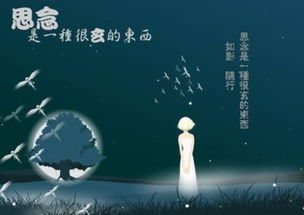 關(guān)于思念的愛(ài)情詩(shī)句