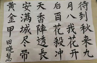 反貪局,詩(shī)句