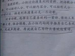 幫我,詩(shī)句,下雨,找到