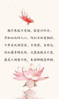 形容徹底絕望的古詩(shī)句,絕望的古詩(shī)句子,絕望心寒的古詩(shī)