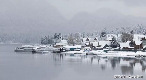 詩(shī)句,句寫(xiě)雪