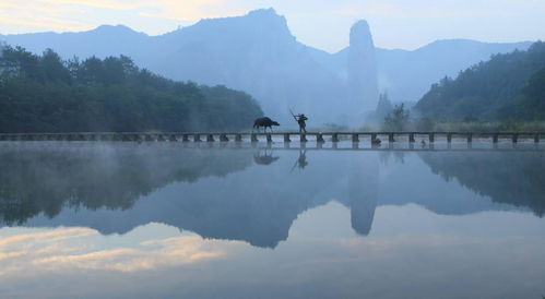 關(guān)于鼎湖峰風(fēng)景的詩(shī)句詞句