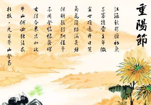 重陽(yáng)節的古詩(shī)關(guān)于重陽(yáng)節的古詩(shī),重陽(yáng)節關(guān)于重陽(yáng)節的詩(shī)句,重陽(yáng)節詩(shī)句古詩(shī)大全重陽(yáng)節詩(shī)句古詩(shī)