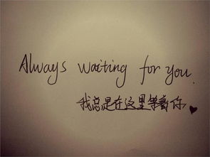 白頭偕老,詩(shī)句