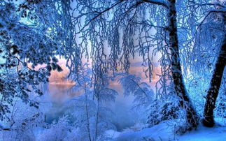 描寫(xiě)雪的詩(shī)句古詩(shī)(寫(xiě)雪的美),描寫(xiě)雪的詩(shī)句古詩(shī)二年級,描寫(xiě)雪的詩(shī)句古詩(shī)兩句