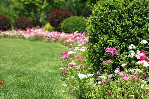 花田的古詩(shī)句