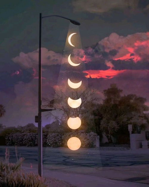 詩(shī)句中有帶夜的古詩(shī)