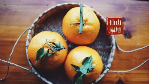 人不可貌相古詩(shī)句