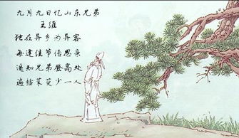 九月九日憶山東兄弟的詩(shī)句,九月九日憶山東兄弟關(guān)于重陽(yáng)節的詩(shī)句,九月九日憶山東兄弟的詩(shī)句怎么寫(xiě)