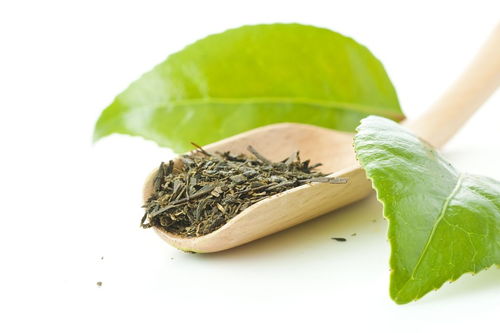 兩條或俗語(yǔ)關(guān)于茶的詩(shī)句