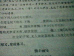 寫(xiě)出一處古詩(shī)中寫(xiě)愁的詩(shī)句