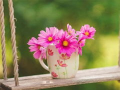 關(guān)于春日賞花詩(shī)句