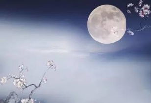 古詩(shī),詩(shī)句