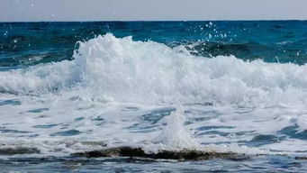 關(guān)于浪花的優(yōu)美詩(shī)句