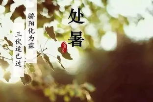 關(guān)于處暑的古詩(shī)句文