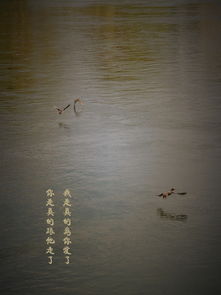 關(guān)于景色加詩(shī)句的