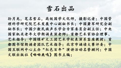 關(guān)于抓執行的詩(shī)句