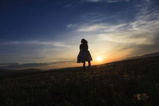 關(guān)于未來(lái)的勵志古詩(shī)句