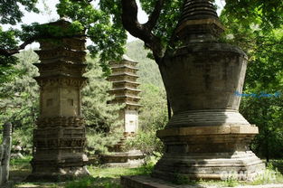 關(guān)于潭柘寺的詩(shī)句