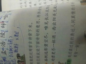 關(guān)于愛(ài)情的古詩(shī)句翻譯