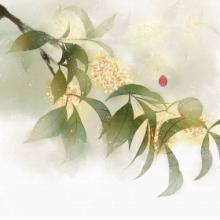 關(guān)于桂花的名言或詩(shī)句