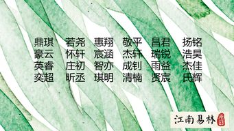 古詩(shī)具有韻意的取名詩(shī)句