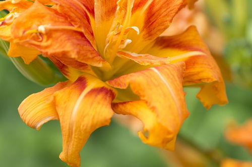 詩(shī)句,形容,秋天,天氣