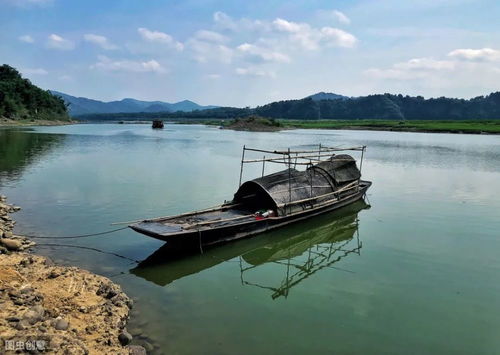 相思之情的古詩(shī)詩(shī)句,愛(ài)國之情的古詩(shī)詩(shī)句,表示鄉思之情的詩(shī)句