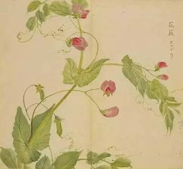 《詩(shī)經(jīng)》中的優(yōu)美詩(shī)句,《詩(shī)經(jīng)》中描寫(xiě)漢服的詩(shī)句,《詩(shī)經(jīng)》中的疊詞詩(shī)句