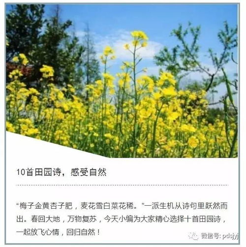 關(guān)于對大自然感覺(jué)的詩(shī)句