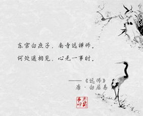 有關(guān)贊美老師的詩(shī)句古詩(shī),關(guān)于贊美老師的詩(shī)句古詩(shī)和意思,贊美老師的詩(shī)句古詩(shī)名言