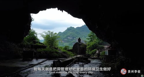 關(guān)于老人歸隱的詩(shī)句