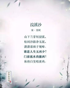 做好充分準備的名言詩(shī)句,做好服務(wù)工作的詩(shī)句,做好萬(wàn)全準備的名言詩(shī)句